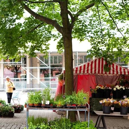 Nordic In The Heart Of Daire *