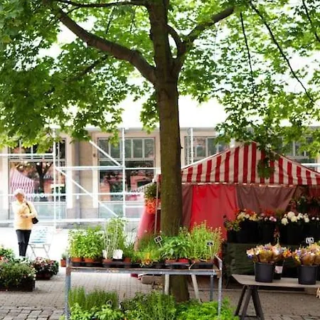 Nordic In The Heart Of